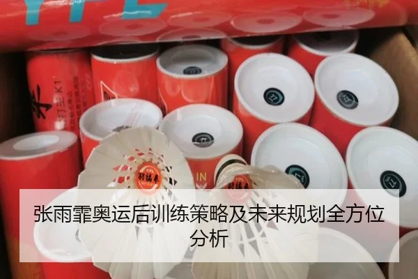 张雨霏奥运后训练策略及未来规划全方位分析